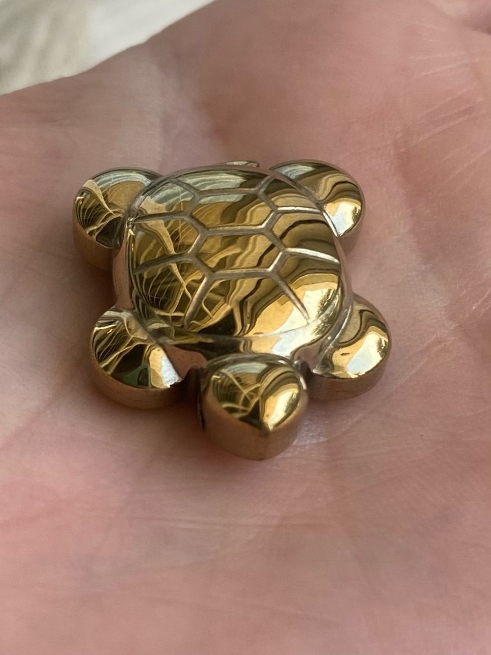 🐢✨ Tiny Pyrite Turtle — BIG Lucky Energy! ✨🐢